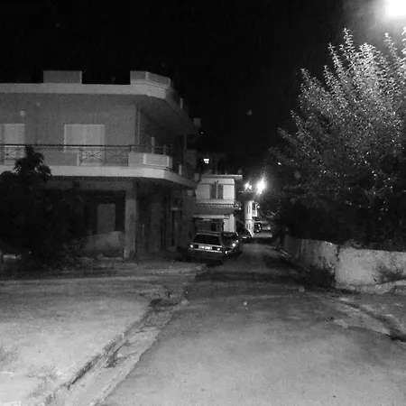 Elena's House